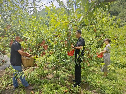 娄底市第一人民医院携手农民工返乡创业 央广网