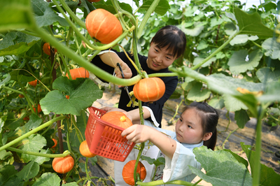 安徽肥西:生态农业助力乡村振兴